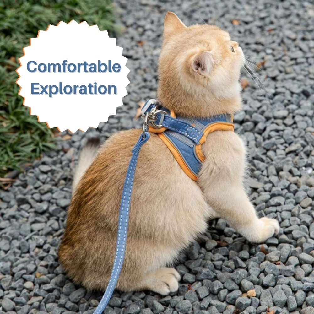 Pawfectly Safe™ Cat Harness And Leash Set