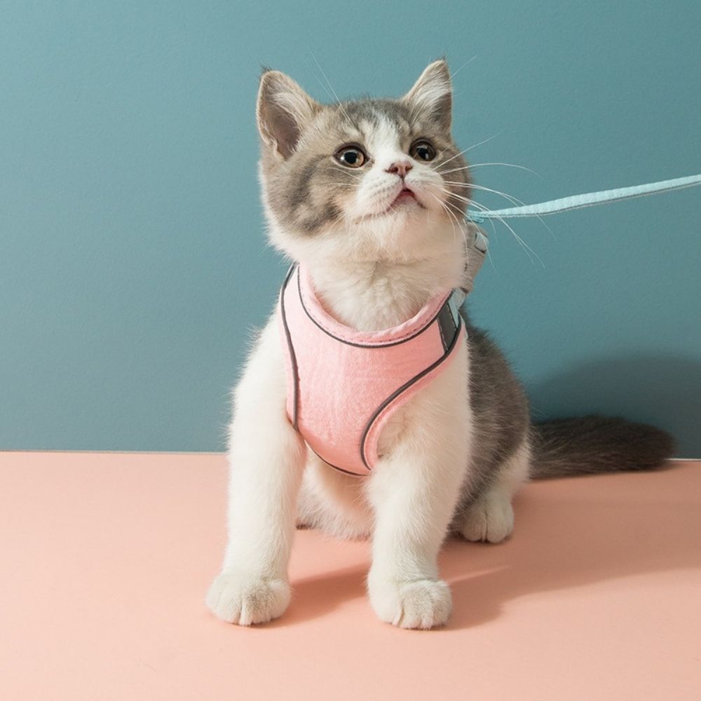 Pawfectly Safe™ Cat Harness And Leash Set