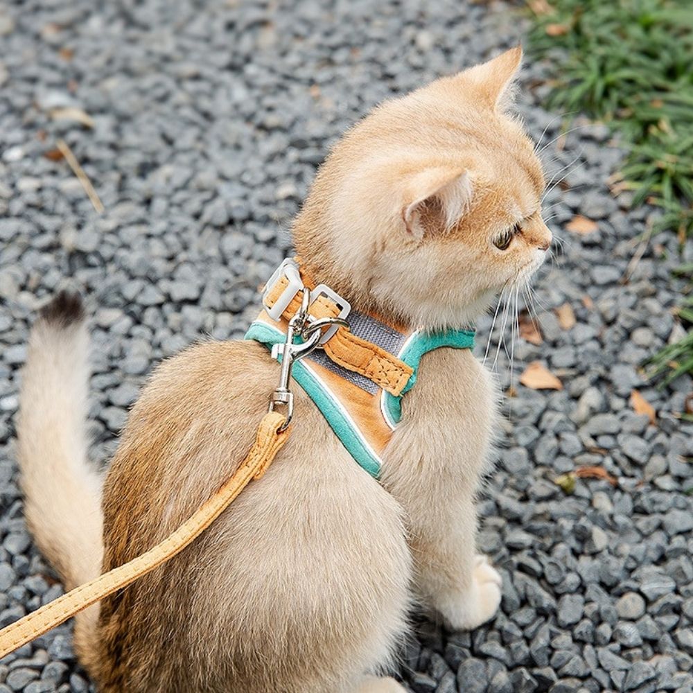 Pawfectly Safe™ Cat Harness And Leash Set