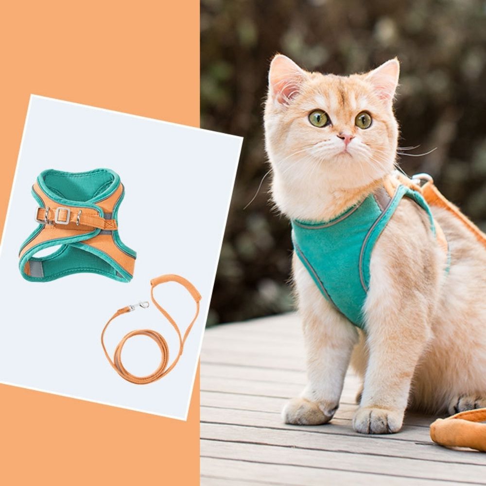 Pawfectly Safe™ Cat Harness And Leash Set