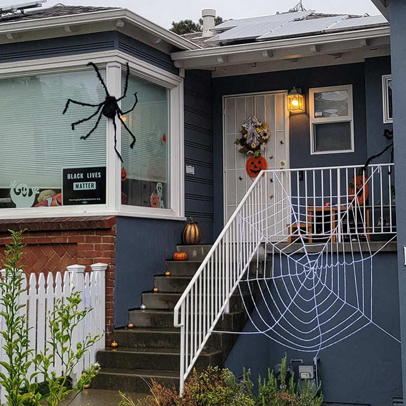 Webby Giant Halloween Spider Web | Free Shipping Today!