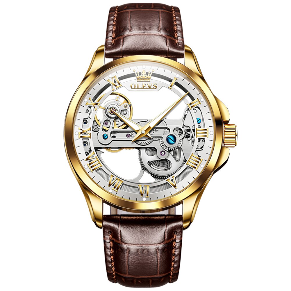 Luxury Self-Winding Mechanical Skeleton Leather Waterproof Wristwatch